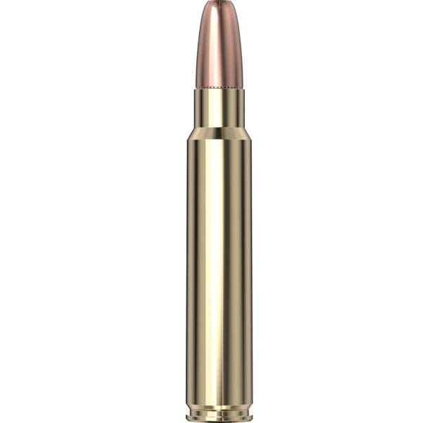 Hornady Dangerous Game™ Ammo 375 Ruger 300 gr DGX® Bonded 20/Box