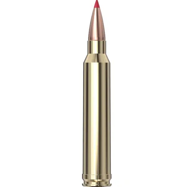 Hornady Superformance® Ammunition 300 Win Mag 165 gr CX™ SPF 20/Box