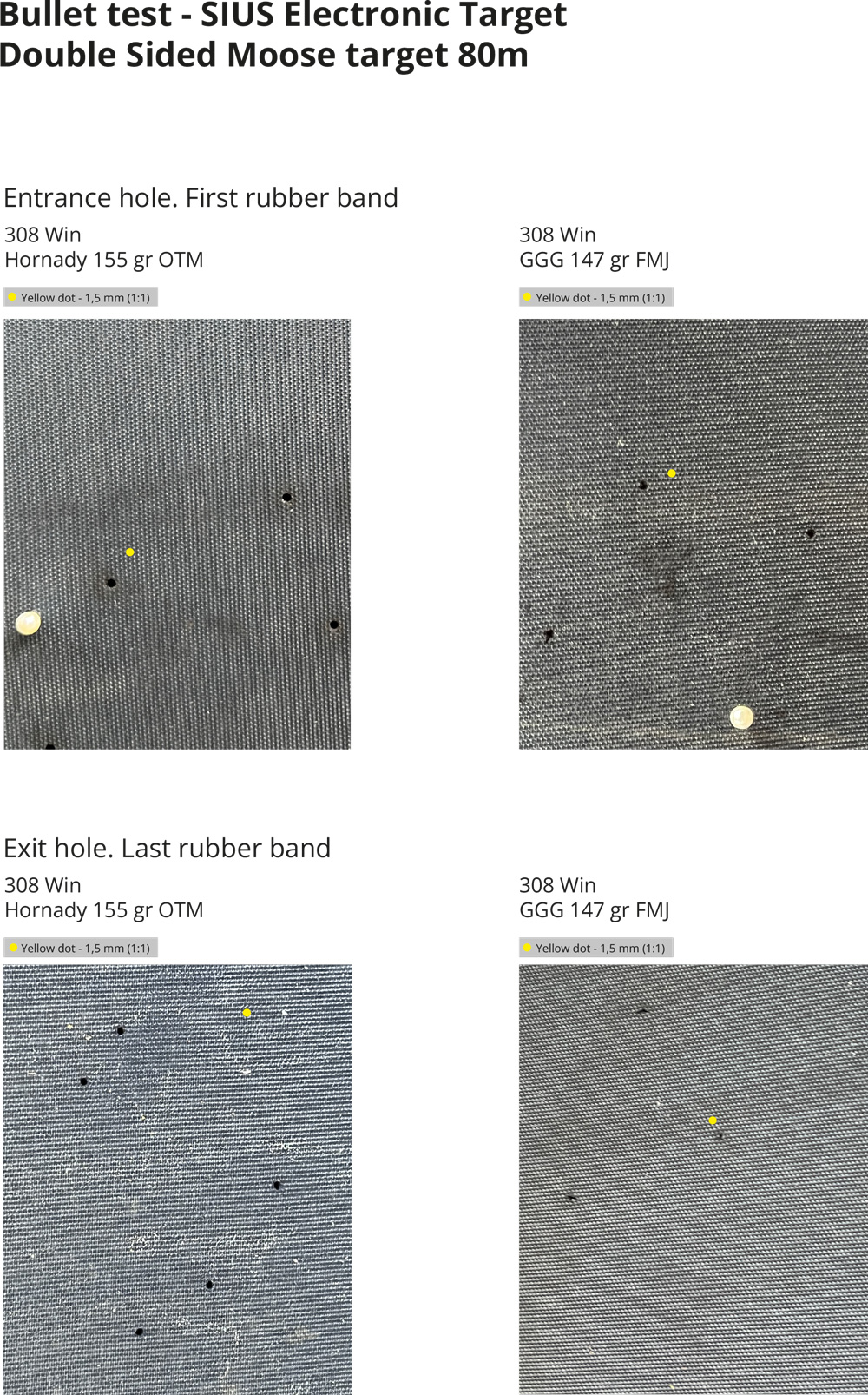 Ammunitonstest-308-Win-SIUS-Markeringssystem-WEB.jpg