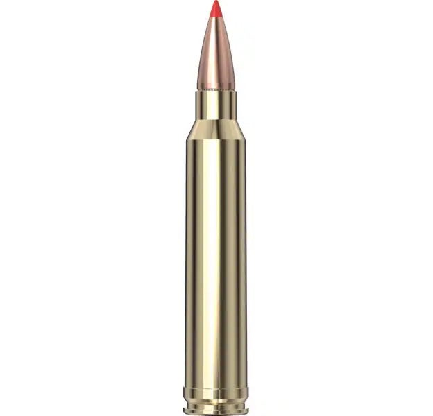 Hornady Superformance® Ammunition 300 Win Mag 180 gr SST® SPF 20/Box