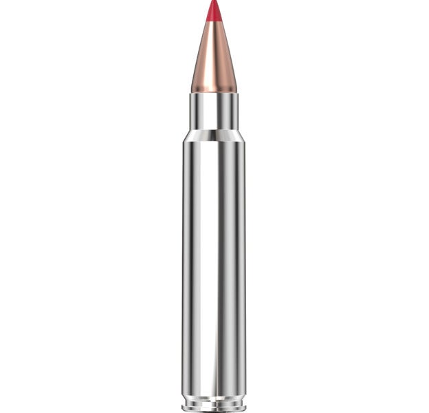 Hornady Outfitter® Ammunition 375 Ruger 250 gr CX™ 20/Box