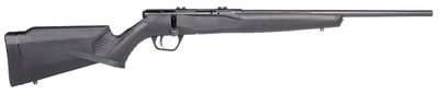 Savage B22 Magnum F 22 WMR 21"