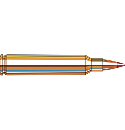 Hornady Superformance® Varmint™ Ammo 204 Ruger V-MAX® 20/Box