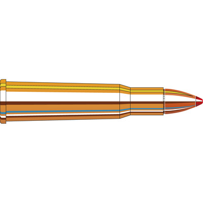 Hornady Leverevolution® Ammunition 348 WIN 200 gr FTX® 20/Box