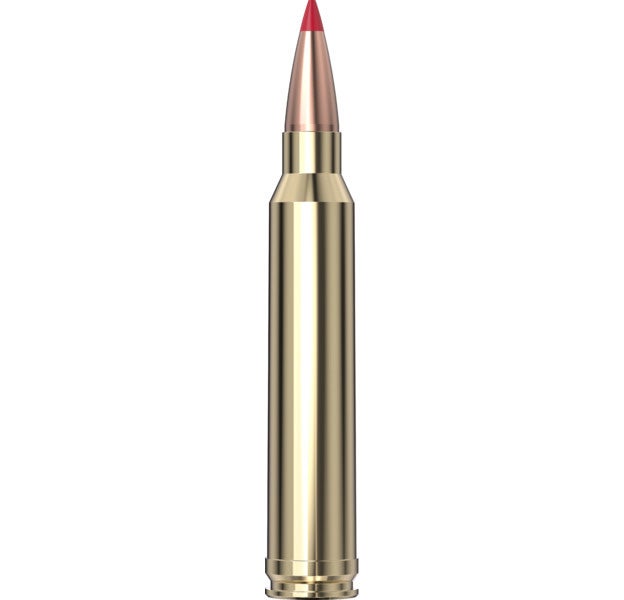 Hornady Precision Hunter™ Ammunition 300 Win M. ELD-X® 20/Box