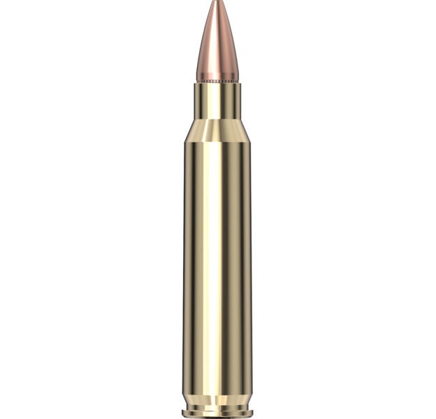 Hornady American Gunner® Ammunition 223 REM 55 gr HP 50/Box