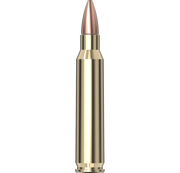 Hornady Custom™ Ammunition 223 REM 55 gr FMJ-BT 50/Box