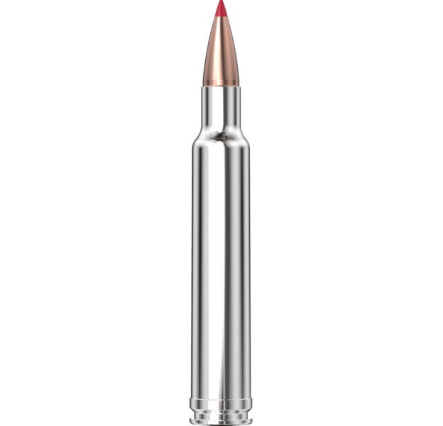 Hornady Outfitter® Ammunition 300 WBY Mag 180 gr CX™ 20/Box