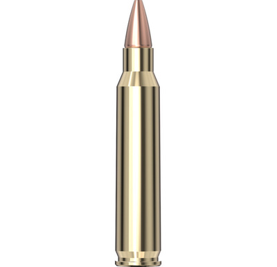 Hornady Superformance® Ammo 223 Rem 50 gr CX® 20/Box