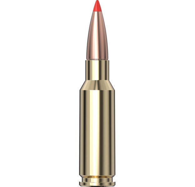 Hornady Custom™ Ammunition 6.5 grendel 123 gr SST® 20/Box