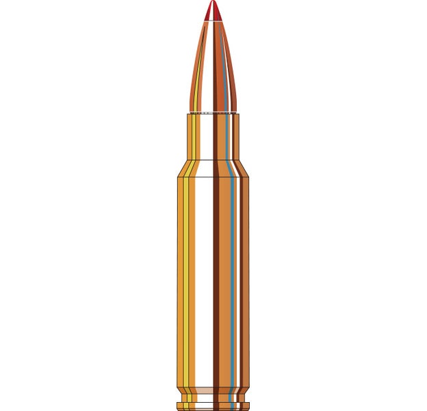 Hornady Superformance® Ammunition, 30 T/C 165 GR S