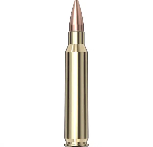 Hornady Superformance® Ammunition 5.56 NATO 75 gr BTHP Match 20/Box