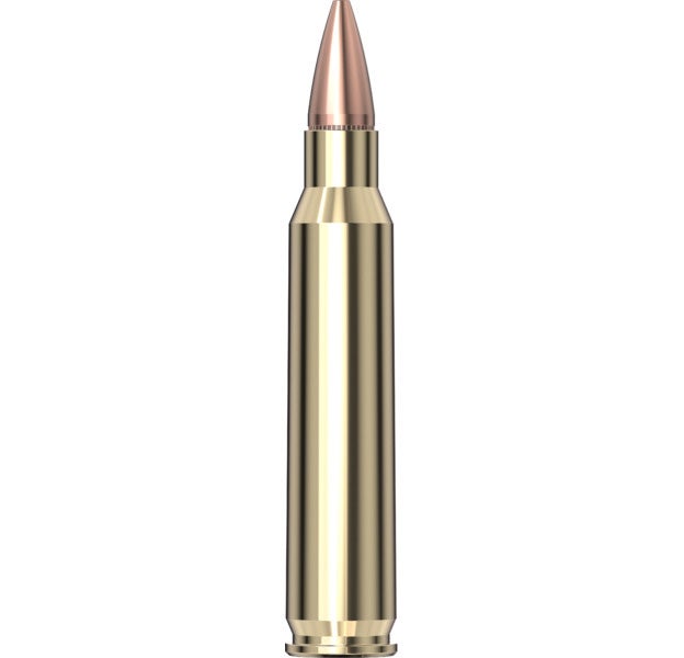 Hornady Frontier® Ammunition 223 REM 55 gr Hollow Point Match™ 