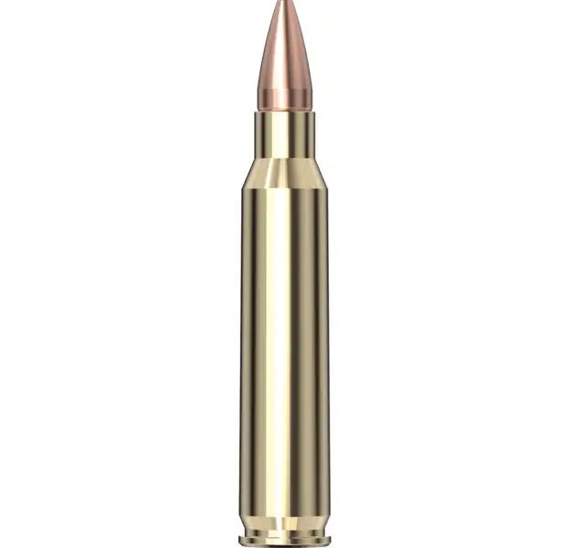 Hornady Superformance® Ammunition 5.56 NATO 55 gr CX™ SPF 20/Box