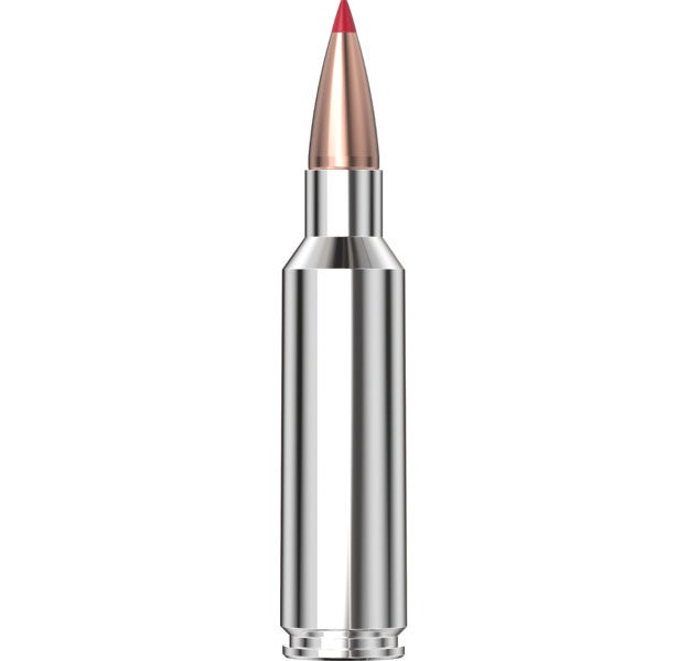 Hornady Outfitter® Ammunition 300 WSM 180 gr CX™ 20/Box
