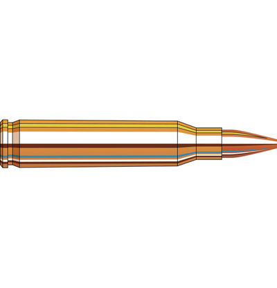 Hornady American Gunner® Ammunition 223 REM 55 gr HP 50/Box