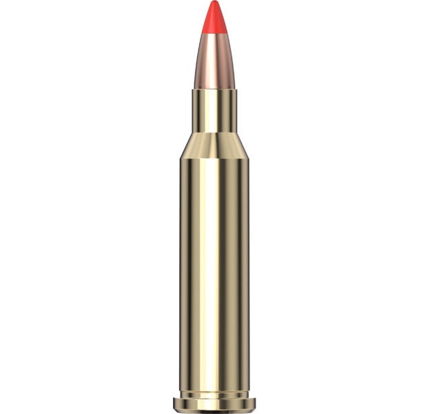 Hornady Superformance® Varmint™ Ammo 17 Hornet 20 gr V-MAX® 25/Box