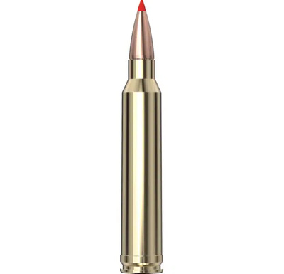 Hornady American W. Tipped Ammo 300 WM 165 gr SST® AWT 20/Box