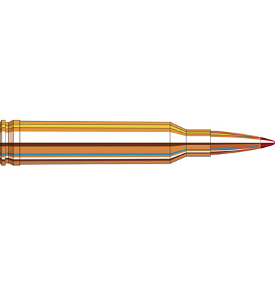 Hornady Precision Hunter™ Ammunition 7mm RM 162 gr ELD-X® 20/Box