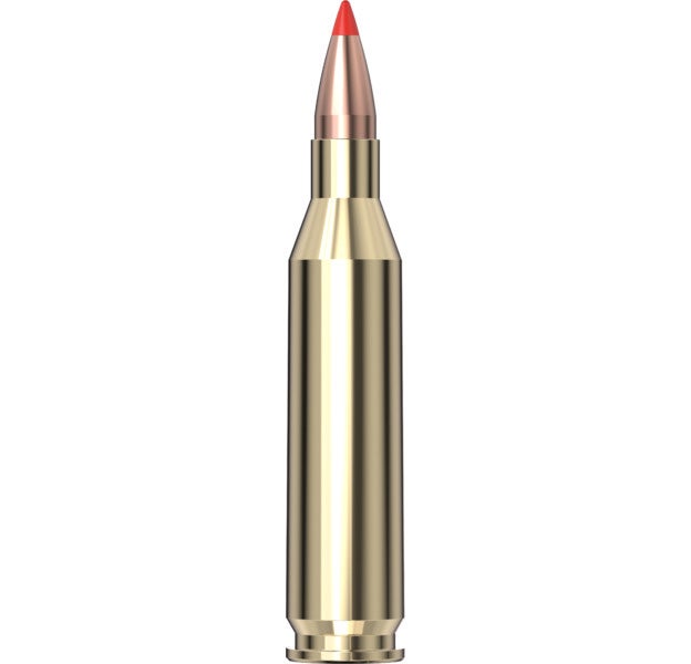 Hornady Superformance® Varmint™ Ammo 243 Win V-MAX® 20/Box