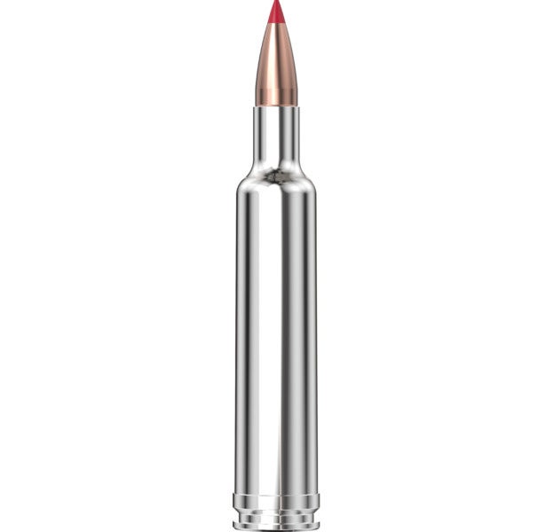 Hornady Outfitter® Ammunition 257 WBY Mag 90 gr CX™ 20/Box