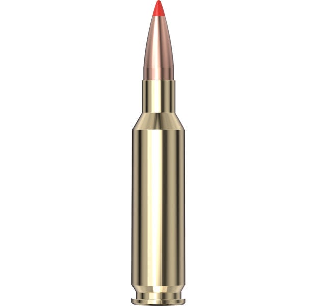 Hornady Varmint Express® Ammo 6.5 Creedmoor 95 gr V-MAX® 20/Box