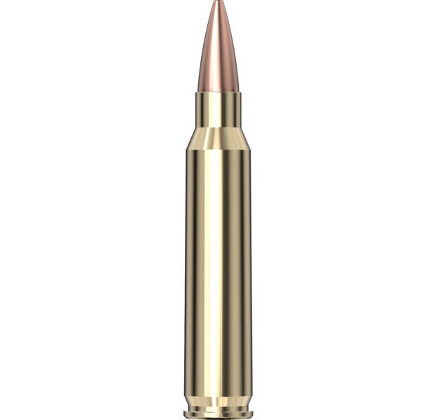 Hornady Match™ Ammunition 223 REM 75 gr BTHP Match™ 20/Box