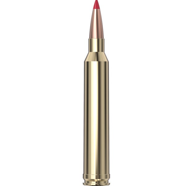 Hornady Precision Hunter™ Ammunition 7mm STW 162 gr ELD-X® 20/Box