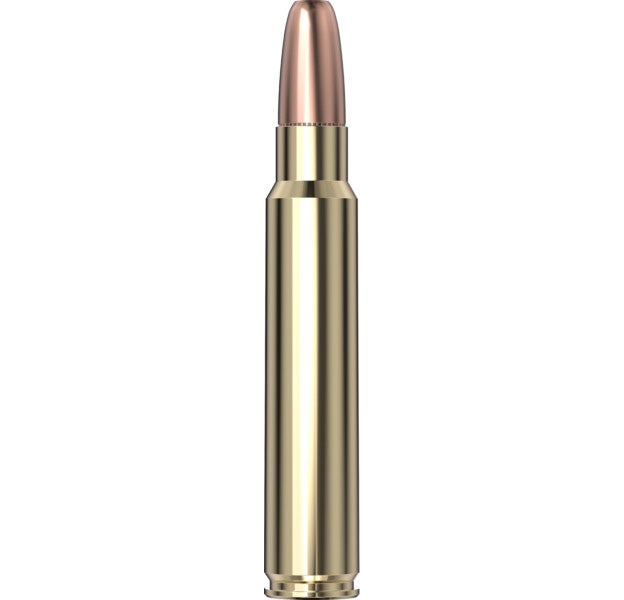 Hornady Dangerous Game™ Ammunition 375 Ruger 300 gr DGS® 20/Box