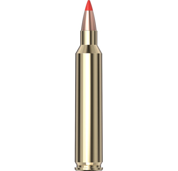 Hornady Superformance® Varmint™ Ammo 204 Ruger V-MAX® 20/Box