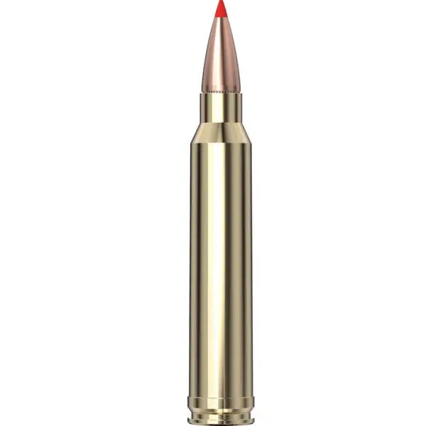 Hornady American Whitetail Tipped Ammo 300 WM 165 gr SST® 20/Box