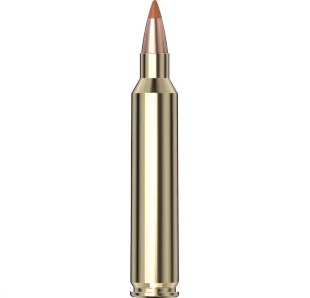 Hornady Superformance® Varmint™ Ammo 204 Ruger 24 gr NTX® 20/Box