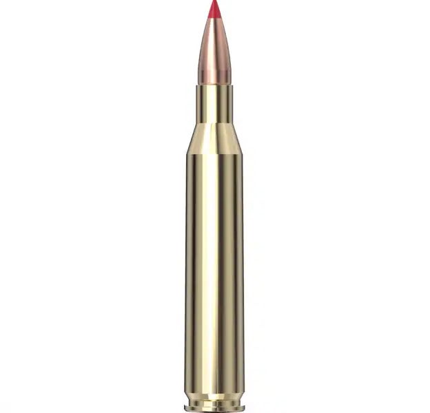 Hornady Superformance® Ammunition 25-06 REM 90 gr CX™ SPF 20/Box