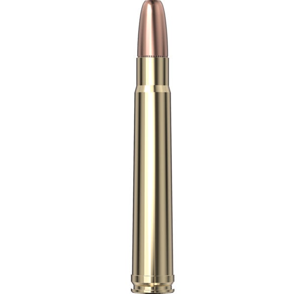 Hornady Dangerous Game™ Ammunition 375 H&H Mag 300 gr DGS® 20/Box