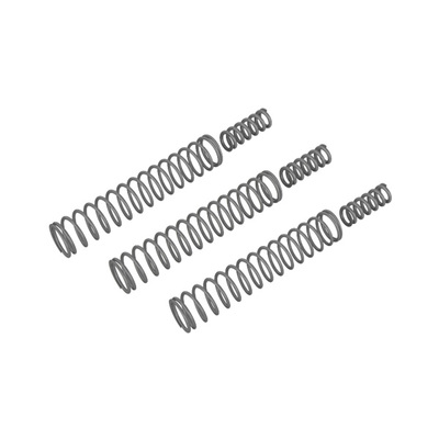 Steyr ATC Buffer Spring Kit