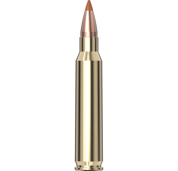 Hornady Superformance® Varmint™ Ammunition 223 REM 35 gr NTX® 20/Box