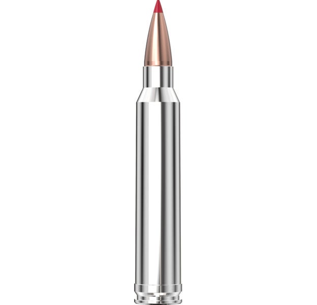 Hornady Outfitter® Ammunition 300 Win Mag 180 gr CX™ 20/Box