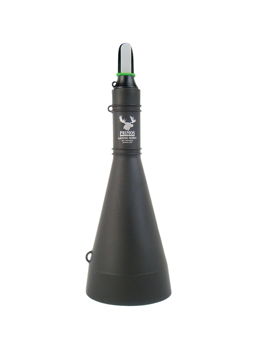 P919.jpg