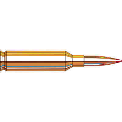 Hornady Superformance® Ammunition 6mm Creedmoor 90 gr CX™ SPF 20/Box