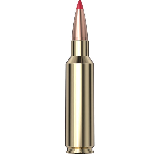 Hornady Precision Hunter™ Ammunition 300 WSM 200 gr ELD-X® 20/Box