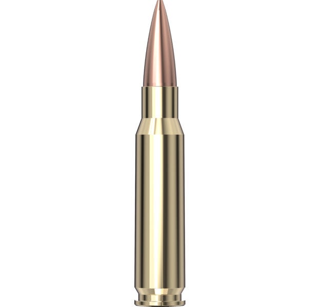 Hornady Match™ Ammunition 308 Win 178 gr BTHP Match™ 20/Box