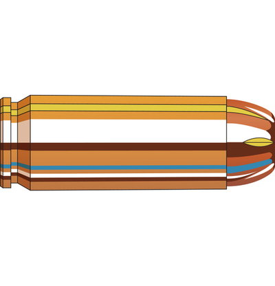 Hornady Custom™ Pistol Ammunition 50 AE 300 gr XTP® 20/Box