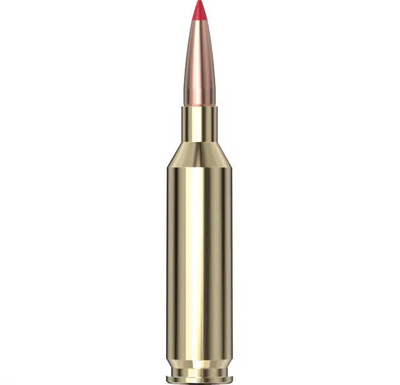 Hornady Superformance® Ammo 22 Creedmoor 65 gr CX® 20/Box