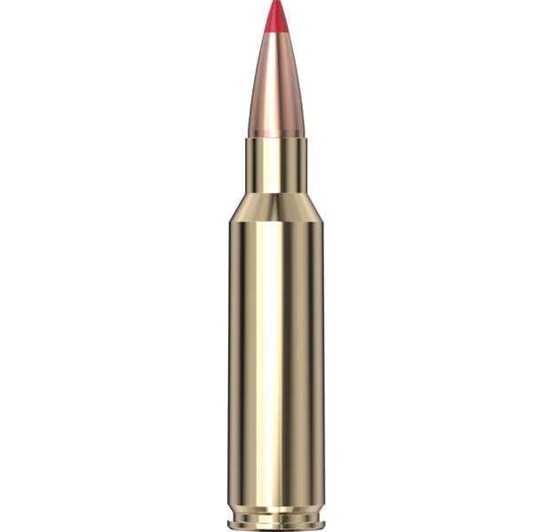 Hornady Precision Hunter™ Ammunition 300 RCM 178 gr ELD-X® 20/Box