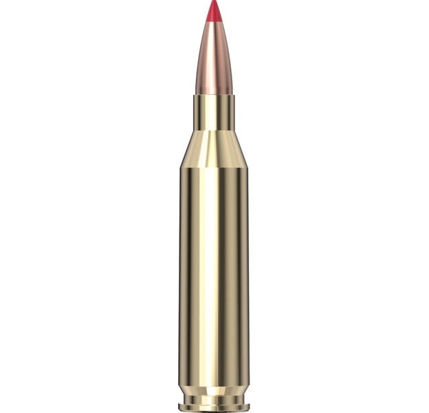 Hornady Precision Hunter™ Ammunition 243 WIN 90 gr ELD-X® 20/Box