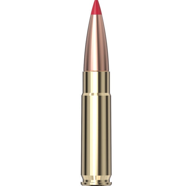 Hornady Custom™ Ammunition 300 Blackout 110 gr CX™ 20/Box