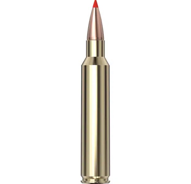 Hornady American Whitetail Tipped Ammo 300 PRC 165 gr SST® 20/Box