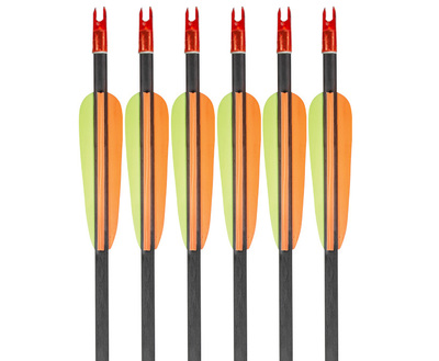 EK Carbonpilar 30"