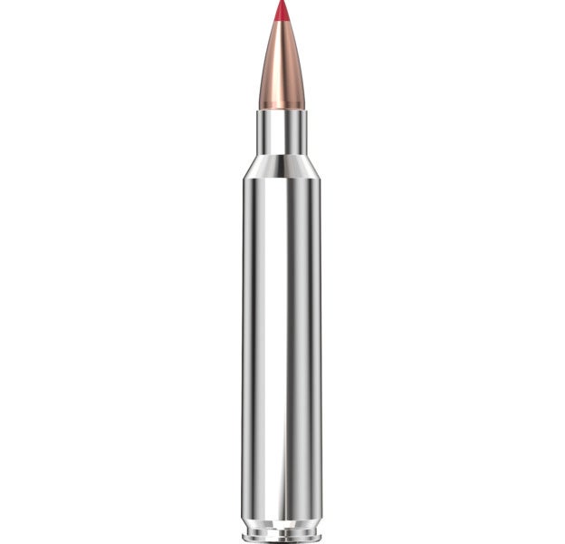 Hornady Outfitter® Ammunition 300 Rem Ultra Mag 180 gr CX™ 20/Box