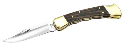 Buck 110FG Folding Hunter